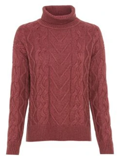 Camel Active Rollkragenpullover In Rot