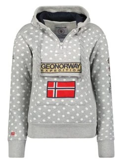 GEOGRAPHICAL NORWAY Hoodie "Gymclass" In Grau