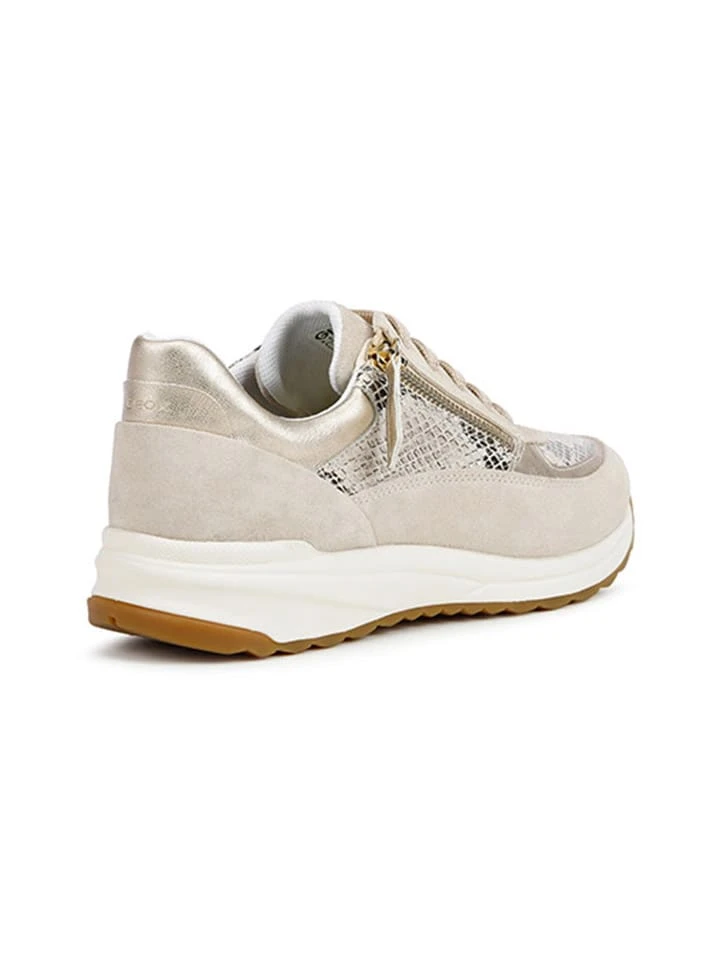 Geox Leder-Sneakers In Beige - Image 4