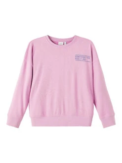 NAME IT Sweatshirt. Langarm. Rundhals Smoky Grape