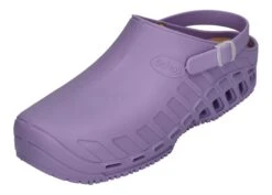 Scholl Clogs Evo Clog In Lila